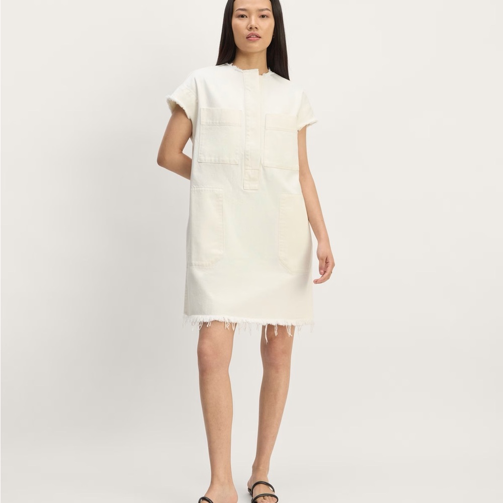 Everlane The Denim Workwear Shirtdress